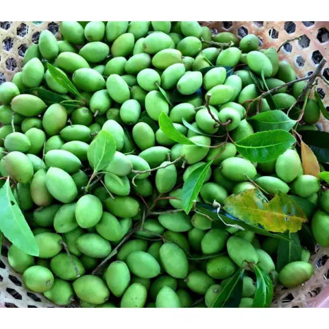 Cà Na Sấy Muối Ớt - Ximafarm