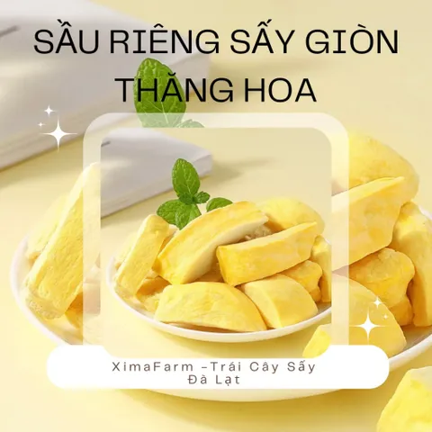 Sầu Riêng Sấy Giòn Không Đường -  Ximafarm
