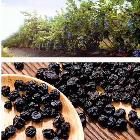 Việt Quất Sấy Dẻo ( Ít Ngọt,Chua Nhiều ) - Ximafarm – Snack Ăn Vặt Healthy – Dried Blueberry
