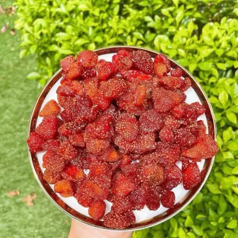 Dâu Tây Sấy Dẻo Xốc Muối Ớt  Hũ 250G , Dẻo Chua Nhiều