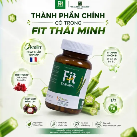 COMBO Maxi Organ Fat & Fit Thái Minh - Hỗ Trợ Sức Khỏe Vẻ Đẹp Cơ Thể Và Hỗ Trợ Cải Thiện Vóc Dáng 835052