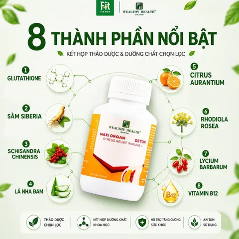 COMBO Maxi Organ Fat & Fit Thái Minh - Hỗ Trợ Sức Khỏe Vẻ Đẹp Cơ Thể Và Hỗ Trợ Cải Thiện Vóc Dáng 835052