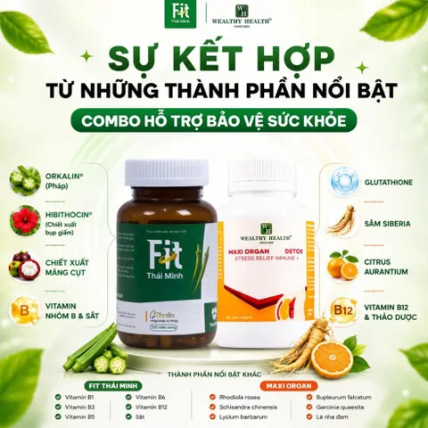 COMBO Maxi Organ Fat & Fit Thái Minh - Hỗ Trợ Sức Khỏe Vẻ Đẹp Cơ Thể Và Hỗ Trợ Cải Thiện Vóc Dáng 835052