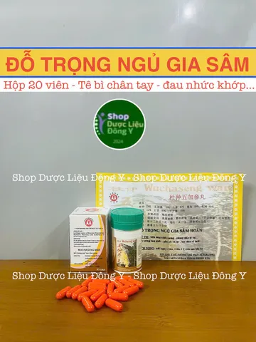 Đỗ Trọng Ngũ Gia Sâm Hộp 20 Viên Hỗ Trợ Giảm Đau Nhức
