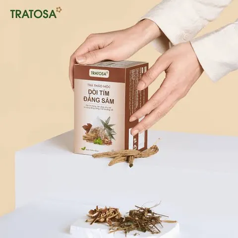 Trà Dòi Tím Đẳng Sâm TRATOSA - Trà thảo mộc thanh lọc phổi, hỗ trợ trị ho và viêm phế quản