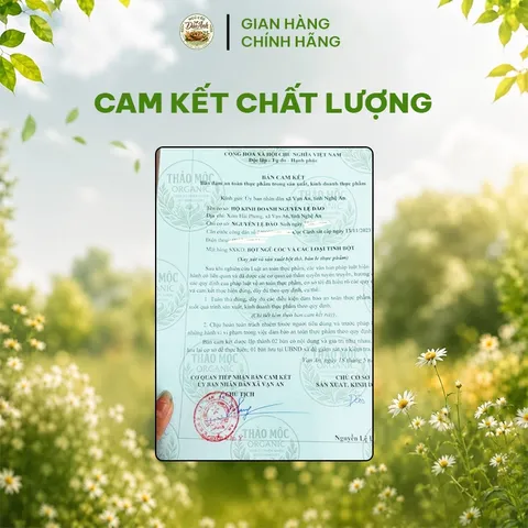 Combo 2 Hũ Sữa Hạt Lợi Sữa Dinh Dưỡng 1kg - Nhân Đôi Lợi Sữa Về Dáng Nhanh Cho Mẹ