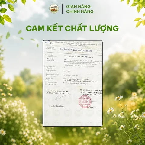 Combo 2 Hũ Sữa Hạt Lợi Sữa Dinh Dưỡng 1kg - Nhân Đôi Lợi Sữa Về Dáng Nhanh Cho Mẹ