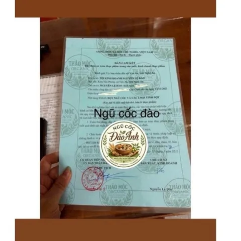 Sữa Hạt Dinh Dưỡng 17 Loại Hạt Hũ 500g - Dưỡng Chất Vàng Cho Người Cần Bồi Bổ