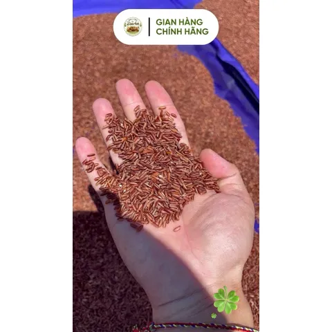 Bột Gạo Lứt Đỏ Huyết Rồng Hũ 500g - Giàu Chất Xơ, Tốt Cho Tim Mạch Và Đường Huyết