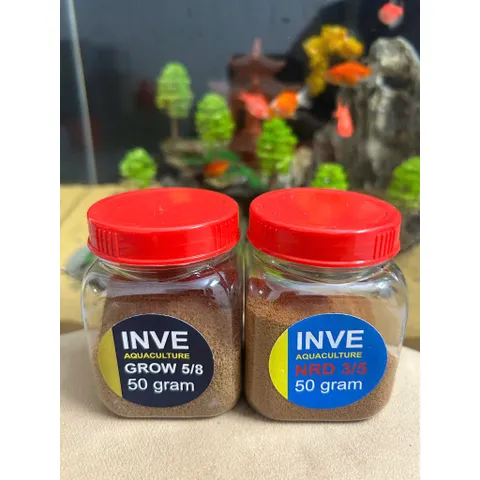 COMBO 2 Lọ Cám Thái Cho Cá Cảnh INVE 3/5 & 5/8 Hũ 50g, Thức Ăn Giúp Cá Lớn Nhanh, Không Gây Đục Nước