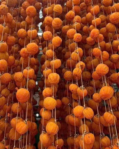 ? Hồng treo gió Đà Lạt chính hãng 500g, dẻo thơm, ngọt thanh tự nhiên, chuẩn vị cao cấp