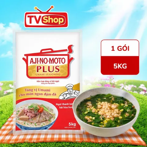 [CHÍNH HÃNG] Bột ngọt (Mỳ chính) AJINOMOTO PLUS 5kg