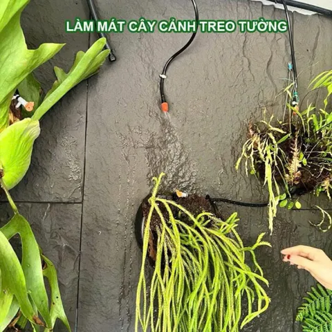 Béc Tưới Phun Sương Đơn Cam Cao Cấp - Đầu Phun Siêu Mịn, Tiết Kiệm Nước, Tưới Lan, Rau, Cây Cảnh, Hệ Thống Tưới Tự Động