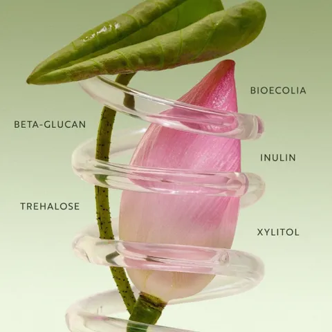 [BEBU] Nước Sen Hậu Giang Cocoon 310ml Phục Hồi Đa Nhiệm Cho Da Nhạy Cảm