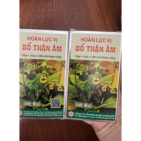BỔ THẬN (Hộp 240 viên)-Hoàn Lục Vị - Tăng cường chức năng