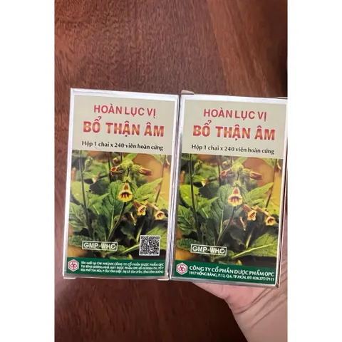 BỔ THẬN (Hộp 240 viên)-Hoàn Lục Vị - Tăng cường chức năng