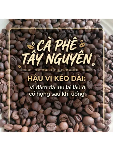 1KG Cà Phê Nguyên Chất Robusta Rang Mộc Tây Nguyên – BAZAN COFFEE – Đậm Vị, Thơm Đặc Trưng