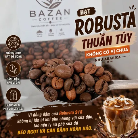 1kg Cà Phê Rang Xay Nguyên Chất - Gu Mạnh, Đậm Vị Tây Nguyên, Pha Phin, Pha Máy, Cà Phê Hạt, Bột, BAZAN COFFEE 47