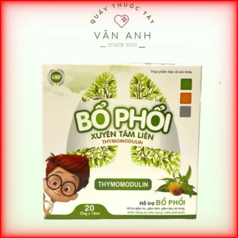  Bổ phổi Xuyên Tâm Liên - Hỗ trợ bổ phổi, giảm ho, giảm đờm, giảm đau rát họng (Hộp 20 ống)