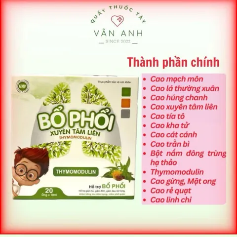  Bổ phổi Xuyên Tâm Liên - Hỗ trợ bổ phổi, giảm ho, giảm đờm, giảm đau rát họng (Hộp 20 ống)