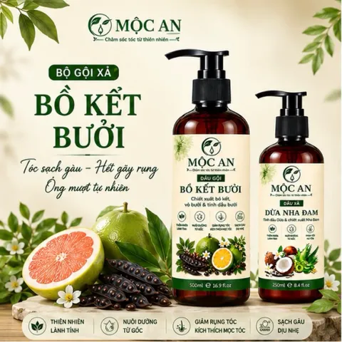 Cặp Dầu Gội Bồ Kết Bưởi kích mọc tóc con, giảm gàu giảm rụng, tóc suôn mượt từ gốc Mộc An chính hãng