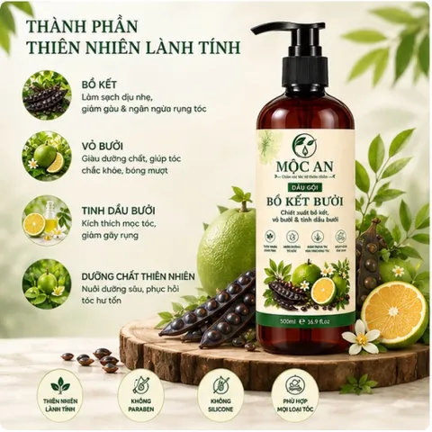 Dầu gội Bồ kết bưởi, dầu gội thiên nhiên kích mọc tóc giảm rụng tóc sạch gàu Mộc An 500ml chính hãng