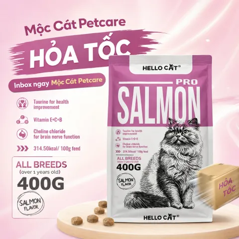 HẠT MÈO HELLO CAT PRO SALMON 400GR – DINH DƯỠNG CAO CẤP, MÈO KHỎE – LÔNG MƯỢT 🐾