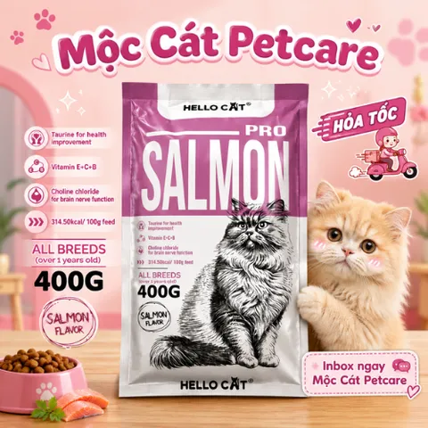 HẠT MÈO HELLO CAT PRO SALMON 400GR – DINH DƯỠNG CAO CẤP, MÈO KHỎE – LÔNG MƯỢT 🐾
