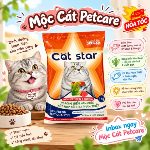 Hạt Cho Mèo Cat Star 1KG/TÚI- Chất Lượng Cao - DINH DƯỠNG - AN TOÀN-VIỆT NAM-Mọi Lứa Tuổi