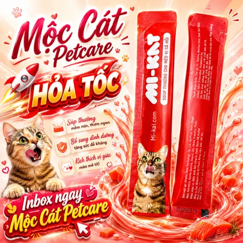 <500 Thanh>Soup Thưởng Mi-Kat Vị Cá Hồi Thơm Ngon - Phù Hợp Cho Mèo Kén Ăn- An Toàn - Việt Nam