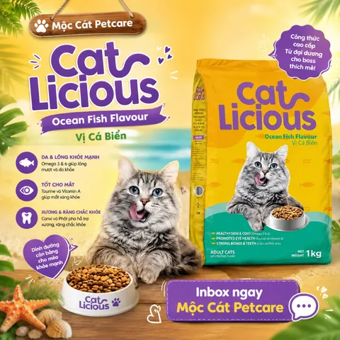 ? HẠT MÈO CAT LICIOUS VỊ CÁ BIỂN 1KG–DA LÔNG KHỎE MẠNH - TỐT CHO MẮT - XƯƠNG RĂNG CHẮC KHỎE - DINH DƯỠNG CÂN BẰNG