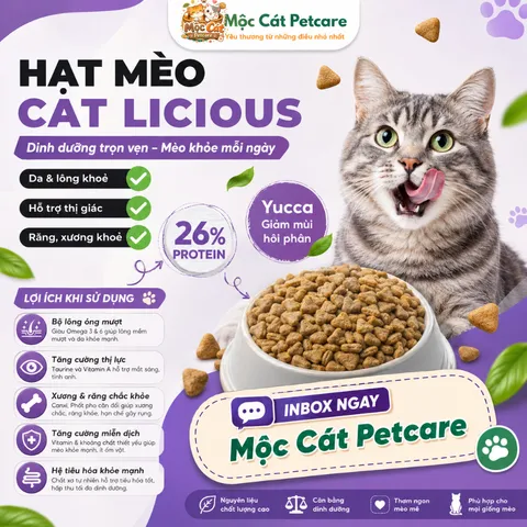? HẠT MÈO CAT LICIOUS VỊ CÁ BIỂN 1KG–DA LÔNG KHỎE MẠNH - TỐT CHO MẮT - XƯƠNG RĂNG CHẮC KHỎE - DINH DƯỠNG CÂN BẰNG