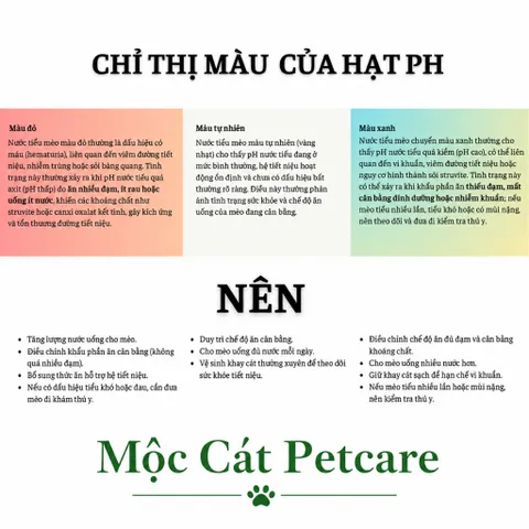 <COMBO 3 TÚI> Cát Vệ Sinh Mèo Lingdok Tofu Chỉ Thị pH 6L Cao Cấp- Theo Dõi Sức Khỏe Mèo–Vón Cục Nhanh-Khử Mùi Tốt-Ít Bụi