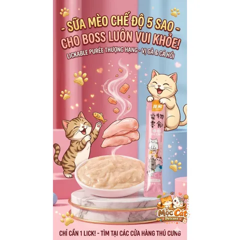 <100 THANH>SÚP THƯỞNG SHIZUKA CHO MÈO – KÍCH THÍCH ĂN NGON, BỔ SUNG DINH DƯỠNG TOÀN DIỆN