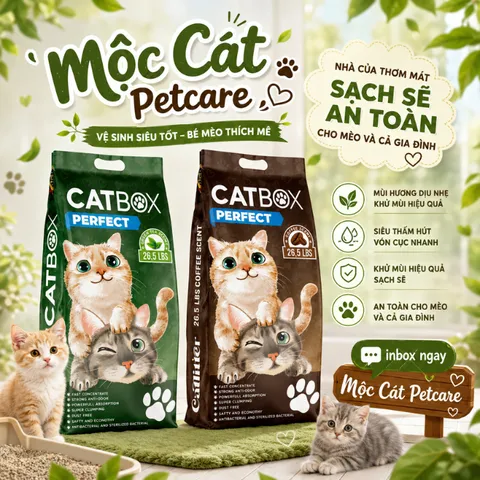 CÁT MÈO CATBOX PERFECT 26L – BENTONITE TRẮNG CAO CẤP - KHỬ MÙI MẠNH - ÍT BỤI - VÓN TỐT