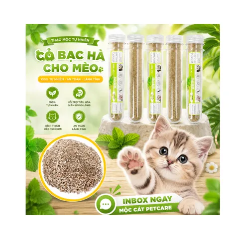 CỎ MÈO SẤY KHÔ (CATNIP) – GIẢI TRÍ & THƯ GIÃN TỰ NHIÊN CHO MÈO 🐱🌿