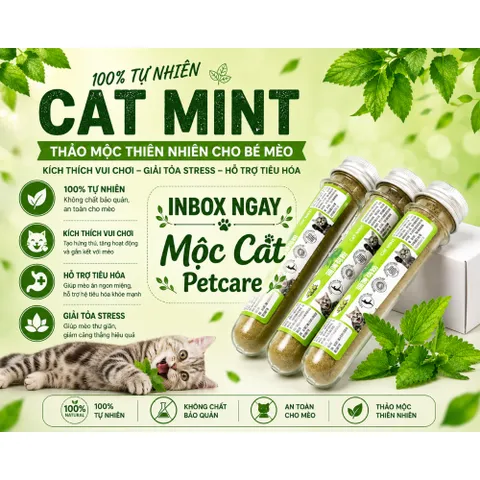 CỎ MÈO SẤY KHÔ (CATNIP) – GIẢI TRÍ & THƯ GIÃN TỰ NHIÊN CHO MÈO 🐱🌿