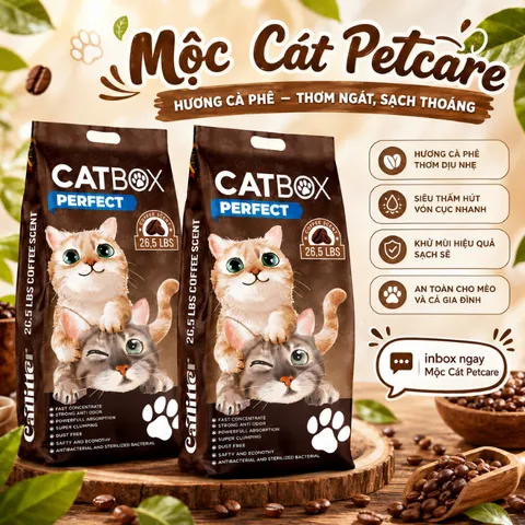 CÁT MÈO CATBOX PERFECT 26L – BENTONITE TRẮNG CAO CẤP - KHỬ MÙI MẠNH - ÍT BỤI - VÓN TỐT