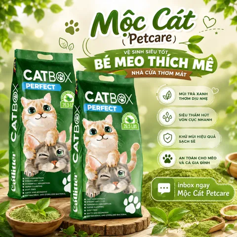 CÁT MÈO CATBOX PERFECT 26L – BENTONITE TRẮNG CAO CẤP - KHỬ MÙI MẠNH - ÍT BỤI - VÓN TỐT
