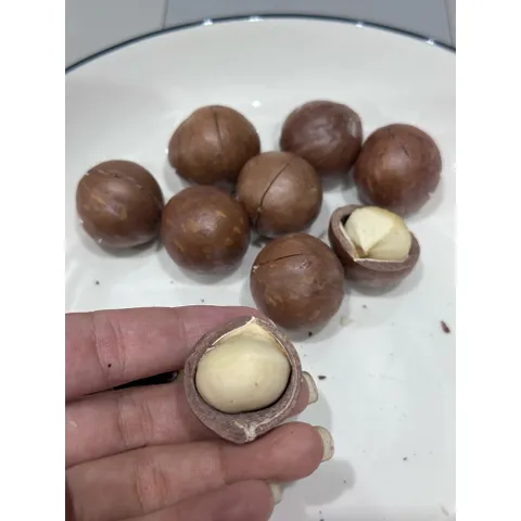 HẠT MACCA SẤY ĐĂK LĂK - THƠM NGON TỰ NHIÊN - SIZE ĐẠI - MỘC MỘC 47