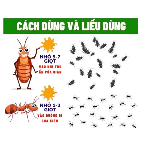 COMBO 10 LỌ NHỎ Kiến Gián Tận Gốc Sinh Học An Toàn, Hiệu Qủa