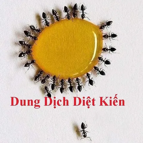 COMBO 10 LỌ NHỎ Kiến Gián Tận Gốc Sinh Học An Toàn, Hiệu Qủa