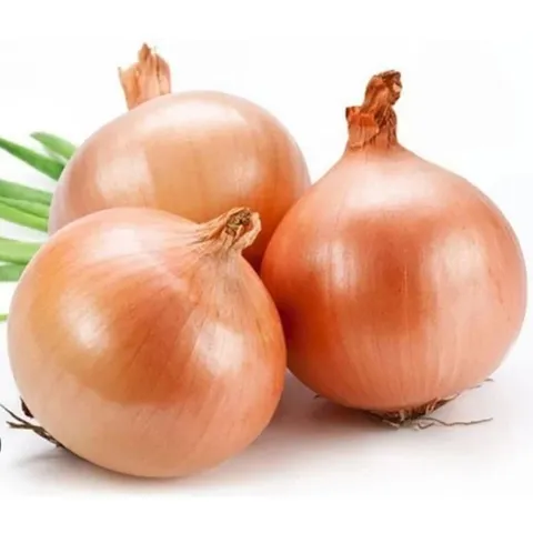 Combo củ hành tây trắng chọn lọc loại 7-10 củ 1kg