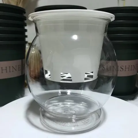 Chậu nhựa thuỷ sinh tự tưới tiện lợi cho cây cảnh - Bình thủy sinh trồng cây