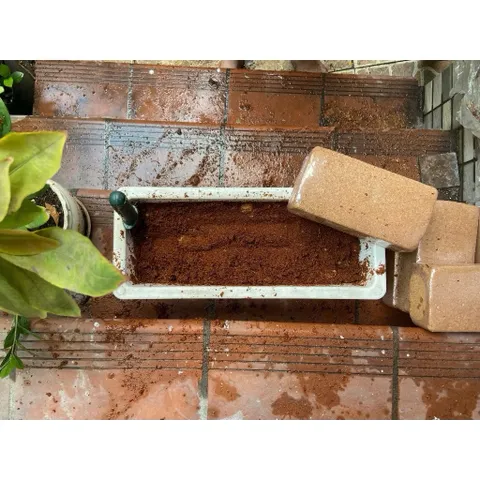 Combo 5 viên nén xơ dừa, đất trồng cây, trồng hoa, trồng rau cây cảnh 838871
