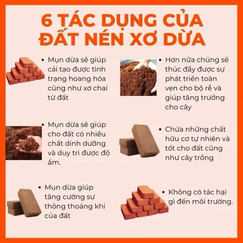 Combo 5 viên nén xơ dừa, đất trồng cây, trồng hoa, trồng rau cây cảnh 838871