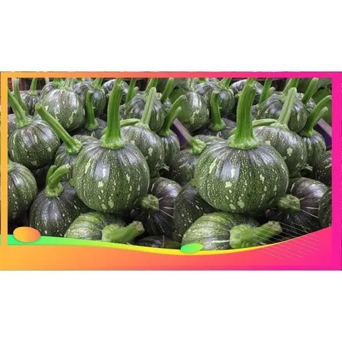 1kg Bí Non. xào, làm bánh, ăn lẩu, nấu canh, hầm xương ... rất ngon