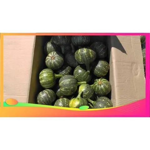 1kg Bí Non. xào, làm bánh, ăn lẩu, nấu canh, hầm xương ... rất ngon