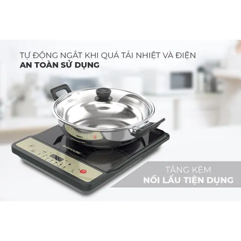 Bếp từ đơn SUNHOUSE SHD6158