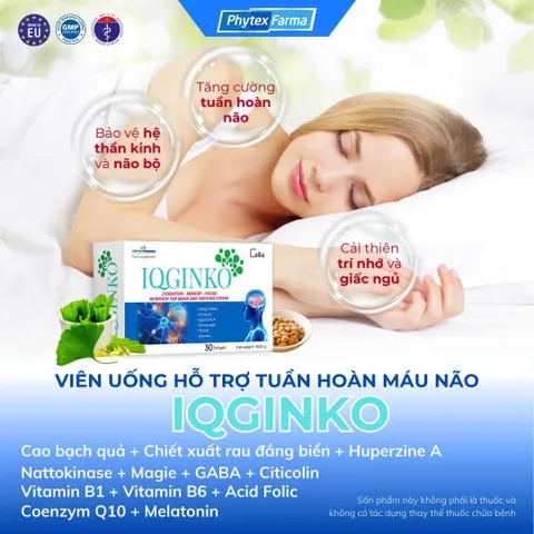 [CHÍNH HÃNG] Viên Uống Bổ Não IQGinko Bulgaria (Hộp 30 Viên) – Tăng Cường Tuần Hoàn Máu Brain, Giảm Đau Đầu, Mất Ngủ & H